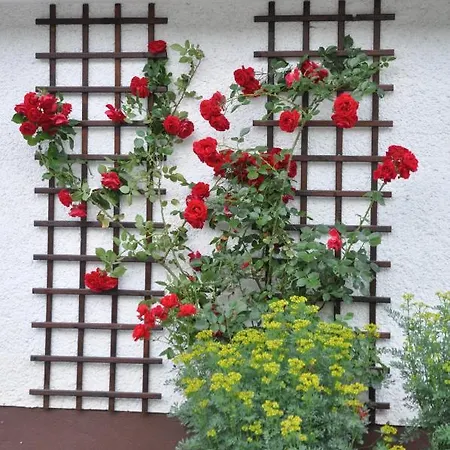 Guest house Vrtnarjeva Hisa, The Gardener's