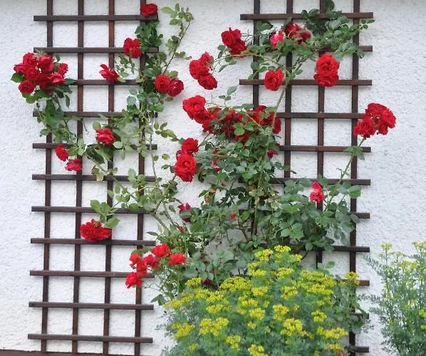 Penzion Vrtnarjeva Hisa, The Gardener's